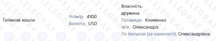 Александр Клименко декларация