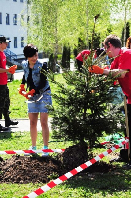 Сохрани жизнь елке – подари детям парк! - изображение №4