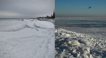 Азовське море у льоду