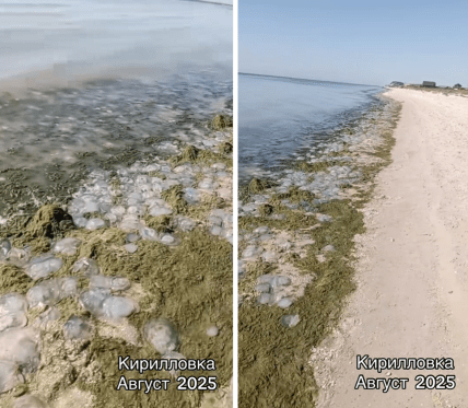 Кирилівка курорт фото