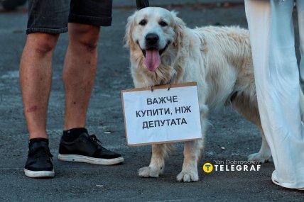 Митинг НАБУ, собака