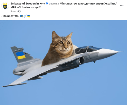 мем кошка самолет гриппен