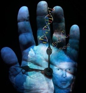 Инструмент для предсказания продолжительности жизни