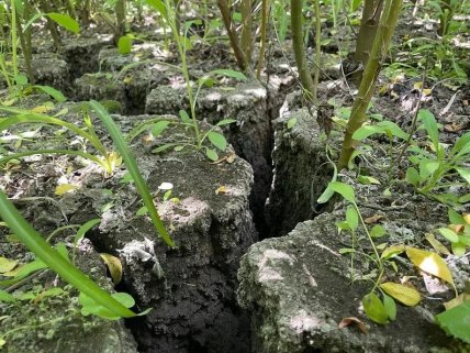 Каховское водохранилище после подрыва дамбы