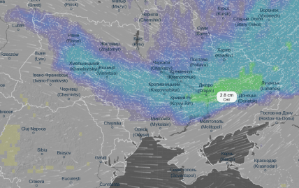 Сніг в Україні вранці 26 грудня