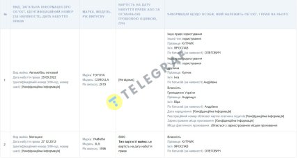 Декларація Ярослава Купчик