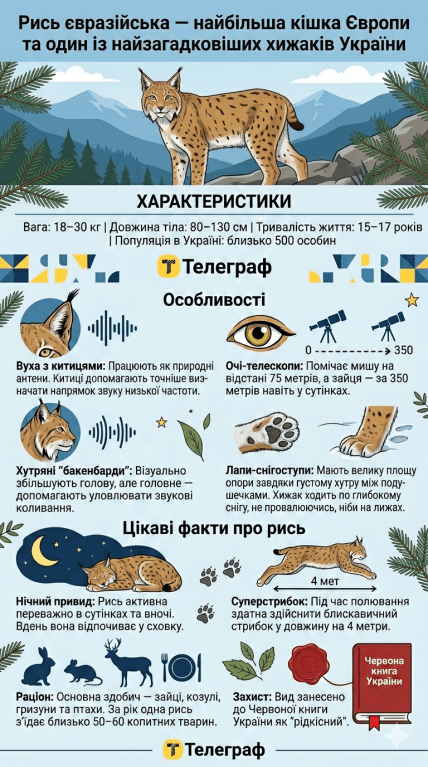 Факти про рись