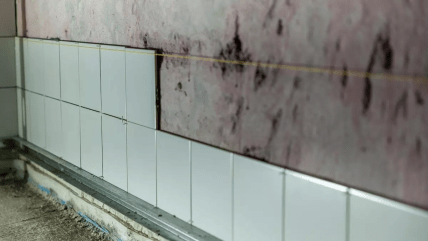 Грибок в ванній та кухні