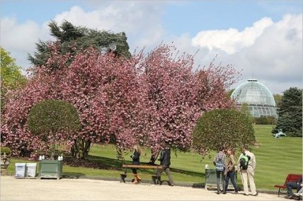 Брюссель- центр культуры