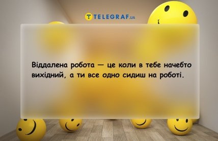 Анекдоти про віддалену роботу