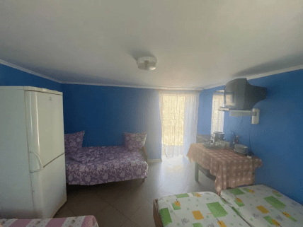 Дом в Одесской области, Санжейка