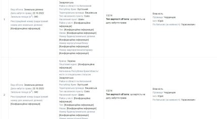 В декларації зазначено ділянки в Закарпатській області