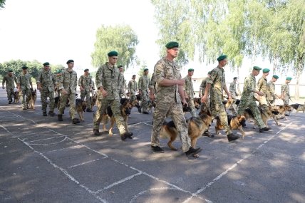 В День Независимости Украины в параде будут участвовать собаки пограничников
