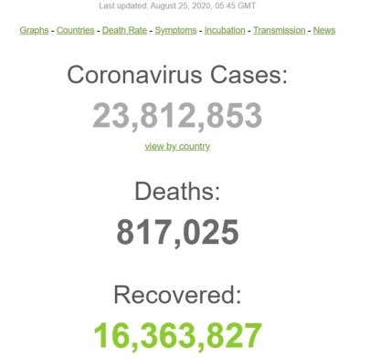 Статистика коронавируса на 25 августа