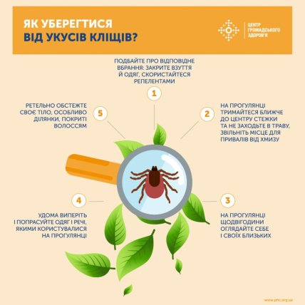 Как уберечься от клещей