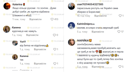 Гриб зонтик на что похож