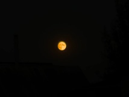 Полнолуние сегодня - Каким было в Запорожье