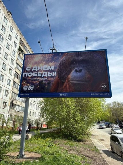 Билборд в Новосибирске к 9 мая