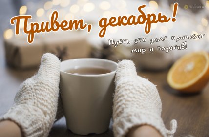 С 1 декабря открытки