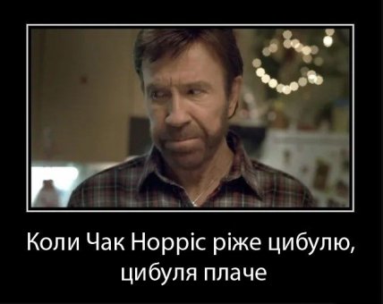 Чак Норрис мемы и шутки