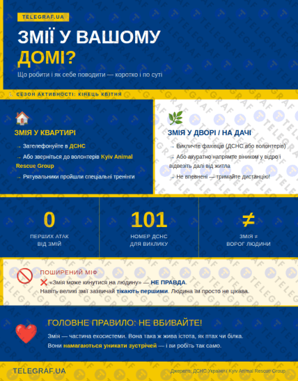 Что делать, если встретили змею