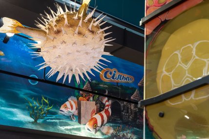 Магазин «Сільпо» в Одессе оформлен как океанский мир