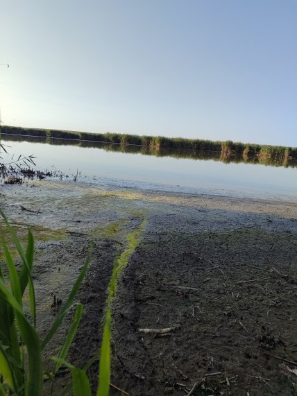 Стан річки Кодими зараз