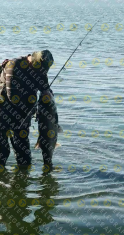 Толстолобик пойман на Монастырском острове