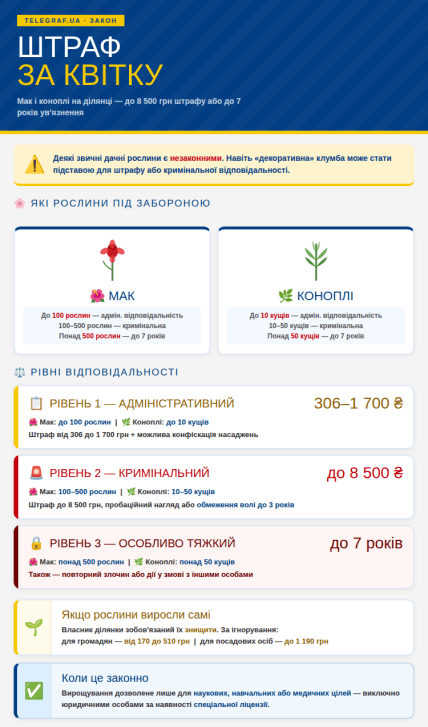 Цветы снотворного мака и конопли нельзя сажать дома, предусмотрена административная и уголовная ответственность
