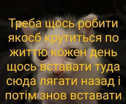 Меми про кукуху та менталочку