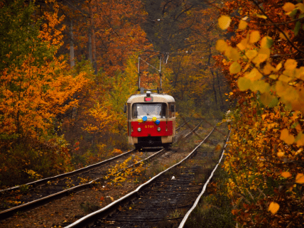 Пуща-Водиця восени