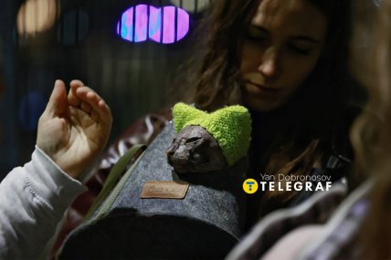 Люди тримають на руках домашніх улюбленців