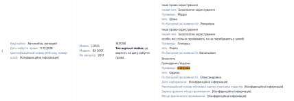 декларація Ірини Мудрої