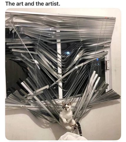 Мем art and the artist кіт у жалюзі