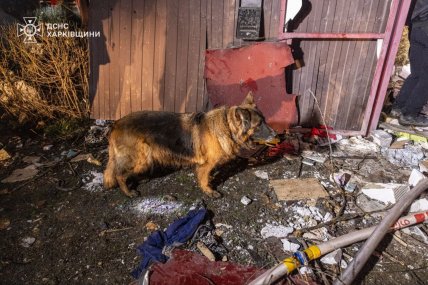 Последствия обстрела Харькова российским дроном 23.11.2025