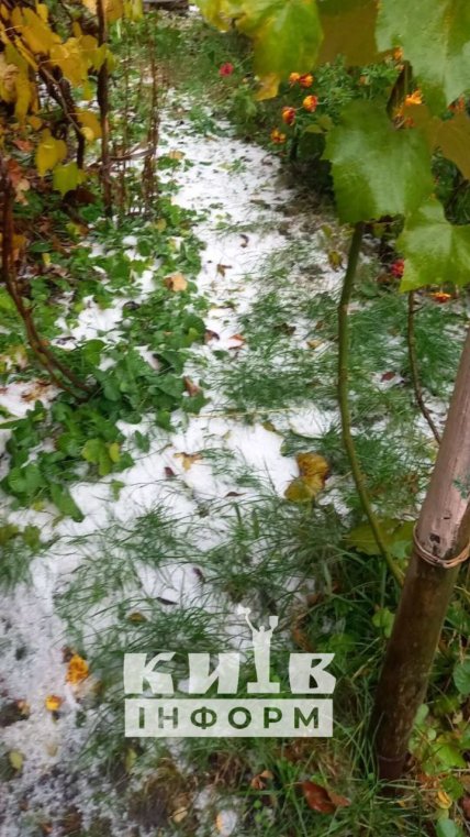 сніг вишгород