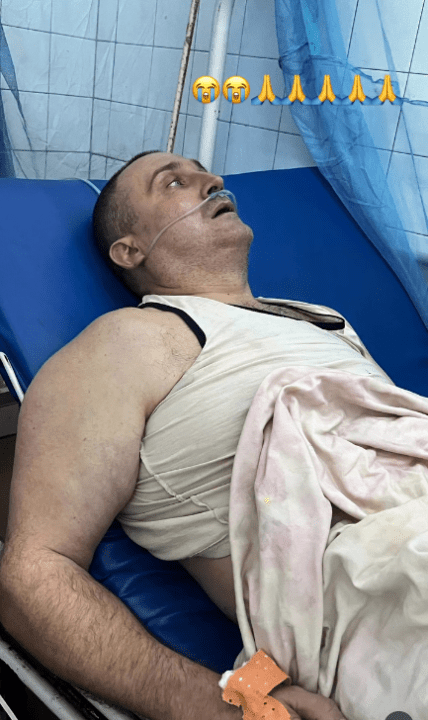 андрий багульник