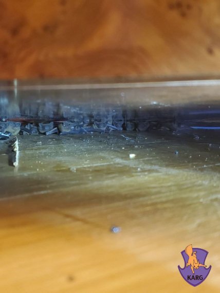 Как защитить квартиру от летучих мышей