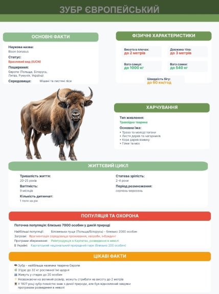 Основные сведения о европейском зубре