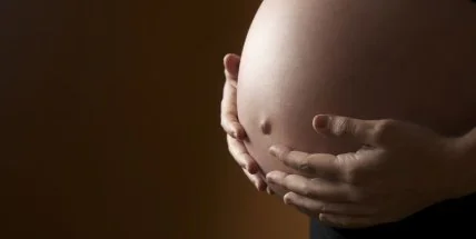 Беременность будет длиться 10 месяцев