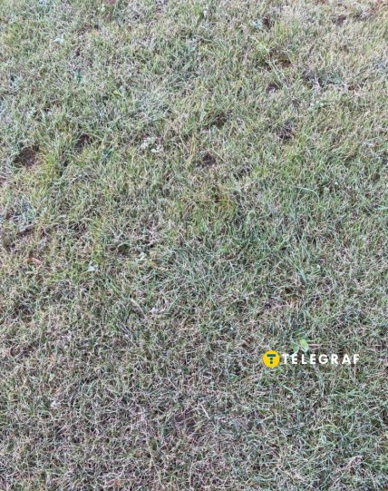 Іній у Дніпрі 14 жовтня