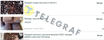 Купити каштани в Україні