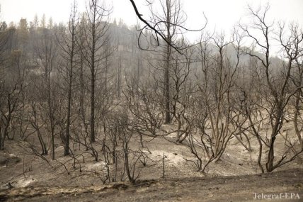 Пожары в США 11.09.2020