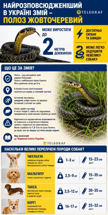 Для яких порід собак небезпечний полоз
