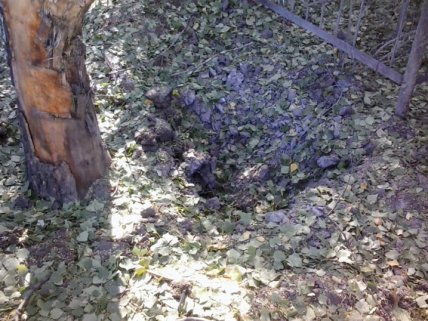 В зоне АТО боевики обстреляли Авдеевку