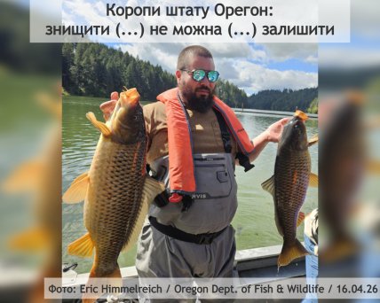 Карп в США