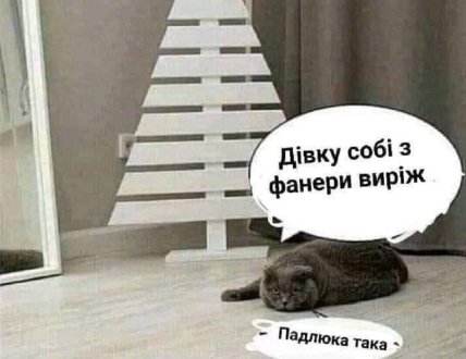 кот и елка фото мем