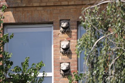 Будинок із жабками Харків Москалівка — фото