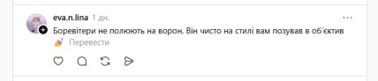 У Києві побачили птаха боривітра