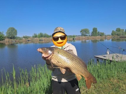 Огромный карп